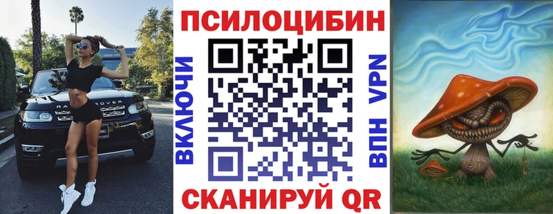Галлюциногенные грибы ЛСД  где купить   Олонец 