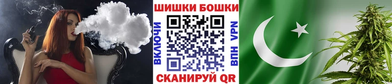 МЕГА как войти  Олонец  Канабис сатива  цены наркотик 